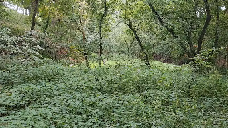 Beaumont-Salina Trailhead - Athens, OH