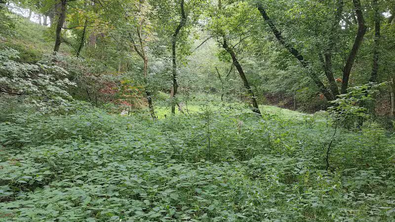 Beaumont-Salina Trailhead - Athens, OH