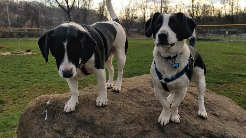 East State Street Dog Park - Athens, OH