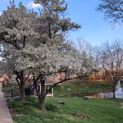 Emeriti Park - Athens, OH