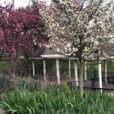 Emeriti Park - Athens, OH