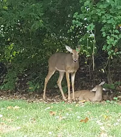 Emeriti Park - Athens, OH
