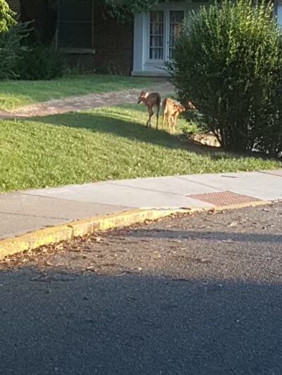 Howard Park - Athens, OH