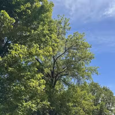 Richland Avenue Park - Athens, OH