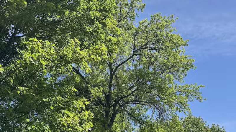 Richland Avenue Park - Athens, OH