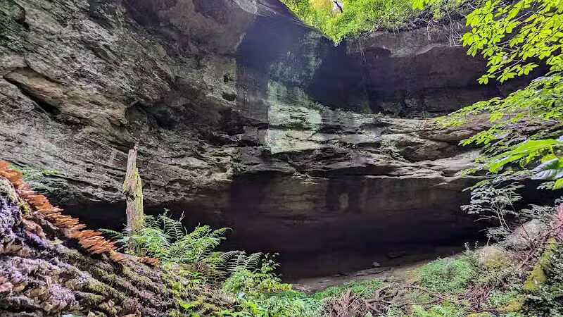 Strouds Run State Park - Athens, OH