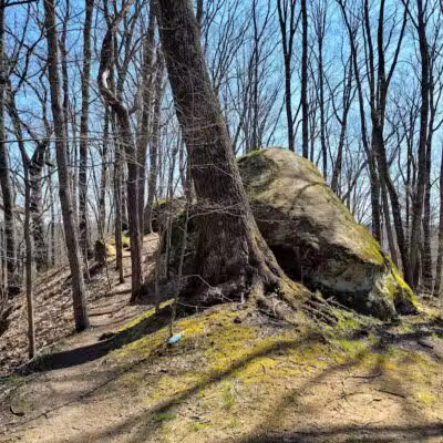 Strouds Run State Park - Athens, OH