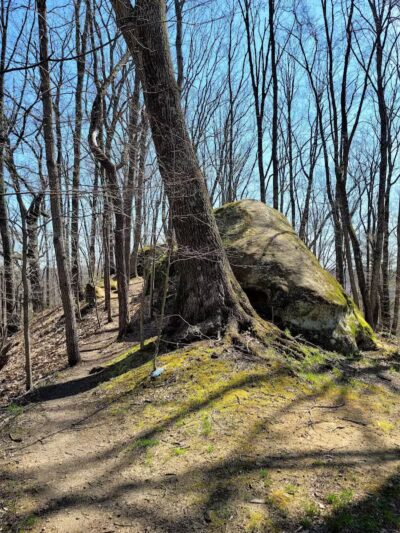 Strouds Run State Park - Athens, OH