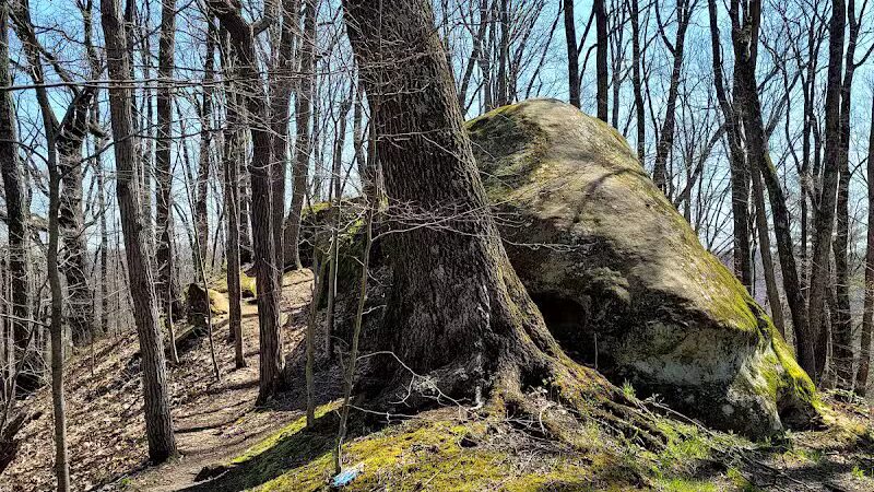 Strouds Run State Park - Athens, OH