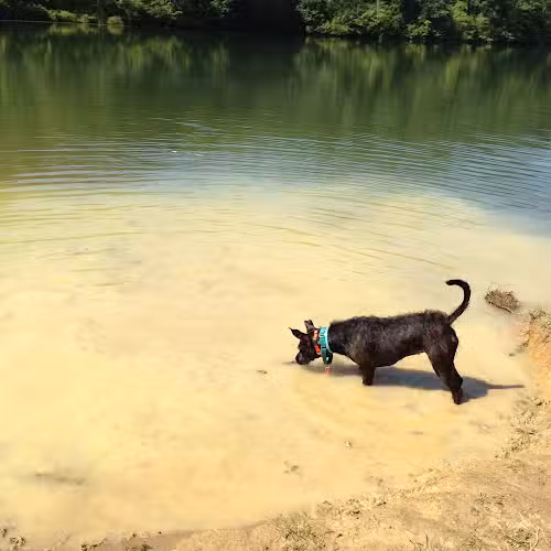 Strouds Run State Park - Athens, OH