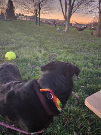 Myers Park - Attica, OH