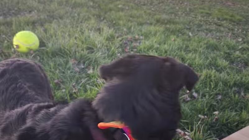 Myers Park - Attica, OH