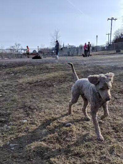 Augusta Dog Park - Augusta, ME