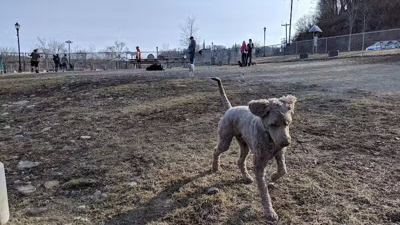 Augusta Dog Park - Augusta, ME