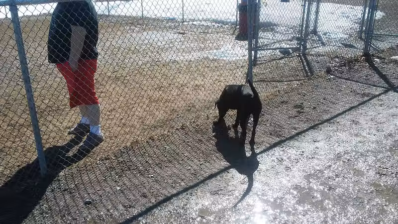 Augusta Dog Park - Augusta, ME