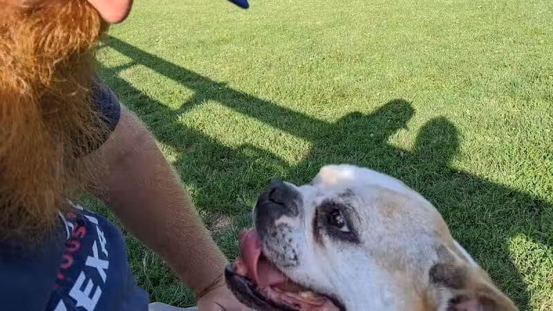 Aurora Dog Park - Aurora, IN