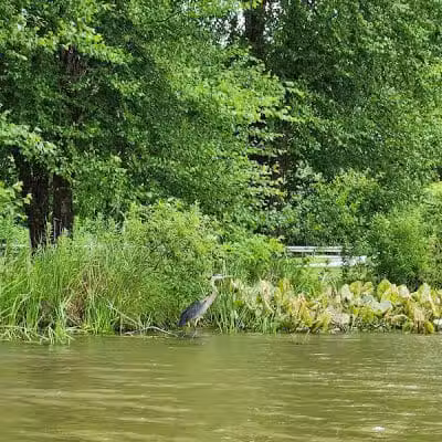 Sunny Lake Park - North End - Aurora, OH