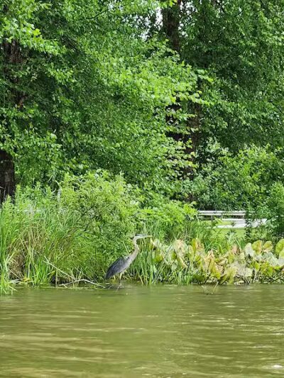 Sunny Lake Park - North End - Aurora, OH