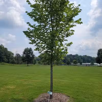 Sunny Lake Park - North End - Aurora, OH