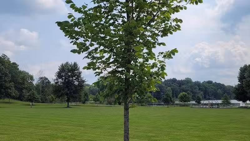 Sunny Lake Park - North End - Aurora, OH