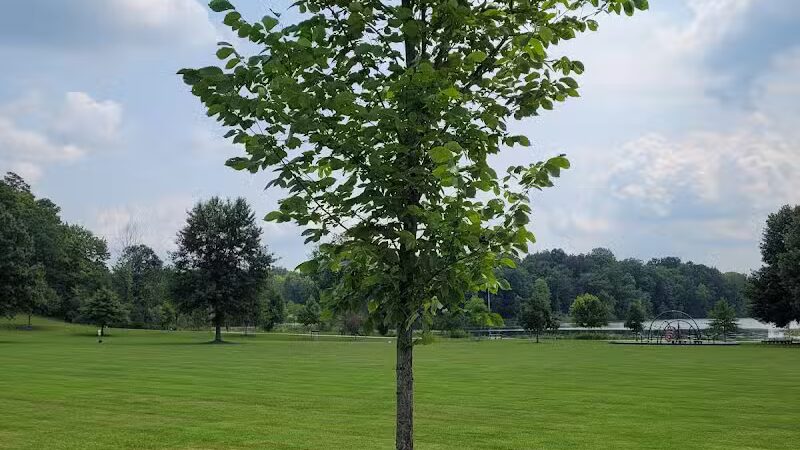 Sunny Lake Park - North End - Aurora, OH