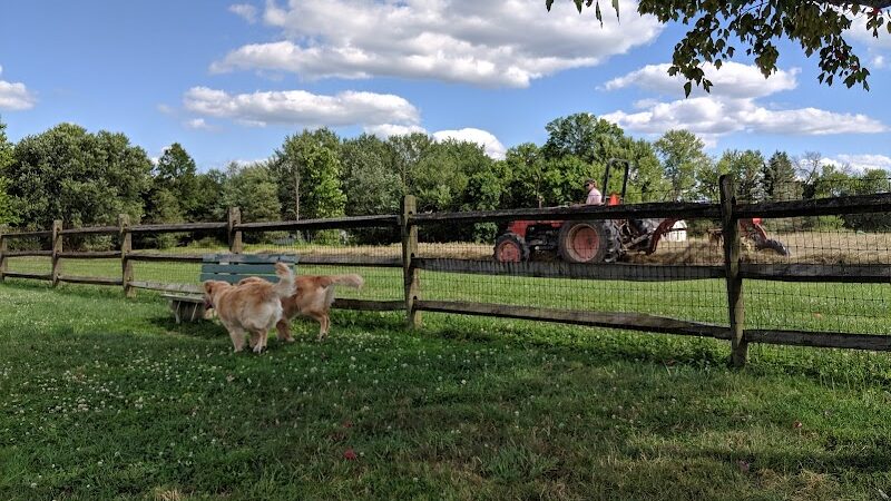 Tails 'n Trails Dog Park - Aurora, OH