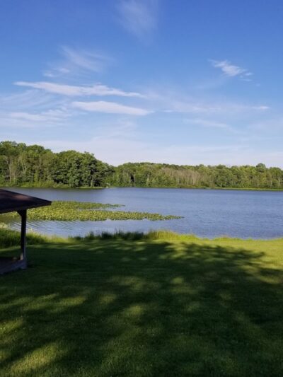 Tails 'n Trails Dog Park - Aurora, OH