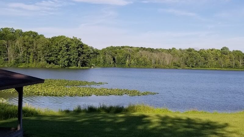 Tails 'n Trails Dog Park - Aurora, OH