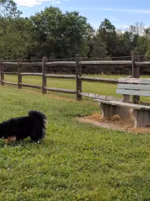 Tails 'n Trails Dog Park - Aurora, OH