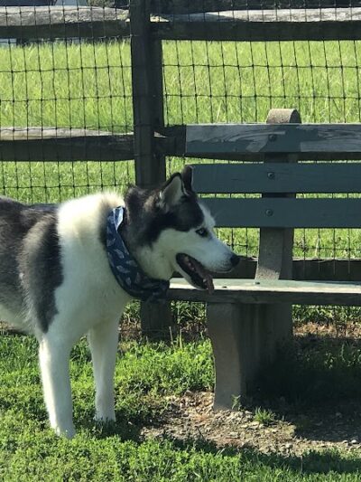 Tails 'n Trails Dog Park - Aurora, OH