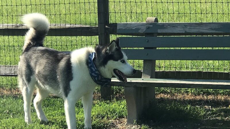 Tails 'n Trails Dog Park - Aurora, OH