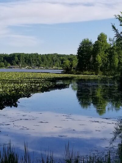 Tails 'n Trails Dog Park - Aurora, OH