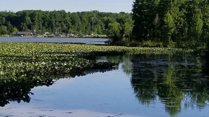 Tails 'n Trails Dog Park - Aurora, OH
