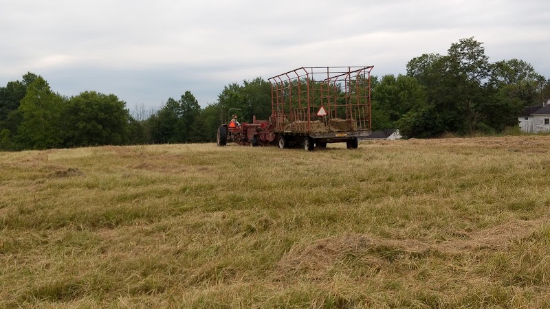 Tails 'n Trails Dog Park - Aurora, OH
