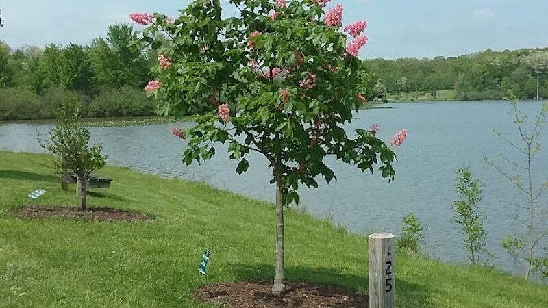 Tails 'n Trails Dog Park - Aurora, OH