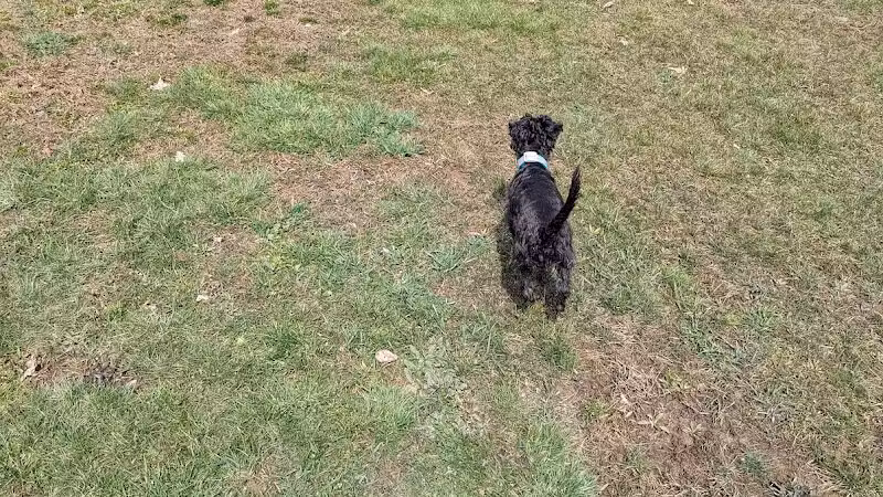 Austintown Bark Park - Austintown, OH
