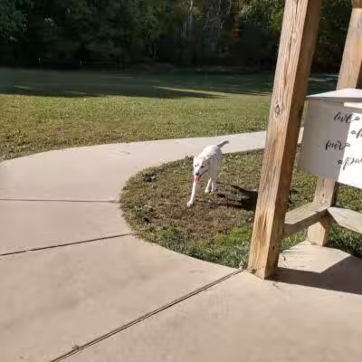 Austintown Bark Park - Austintown, OH