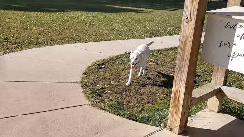 Austintown Bark Park - Austintown, OH