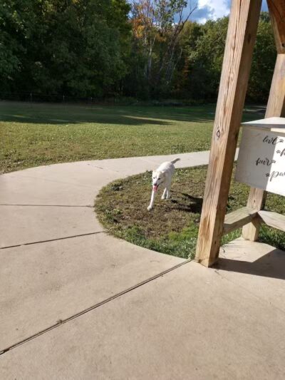 Austintown Bark Park - Austintown, OH