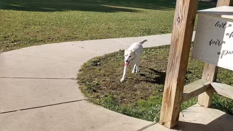 Austintown Bark Park - Austintown, OH