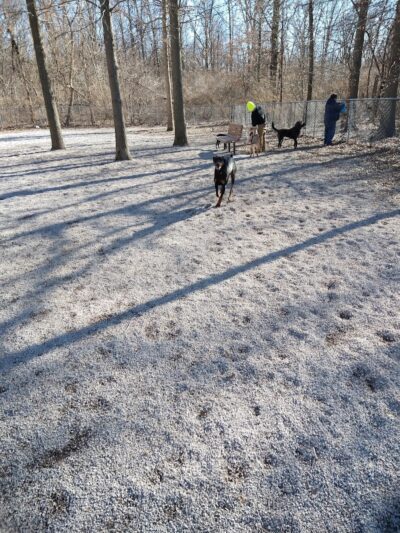 Avon Lake Dog Park - Avon Lake, OH