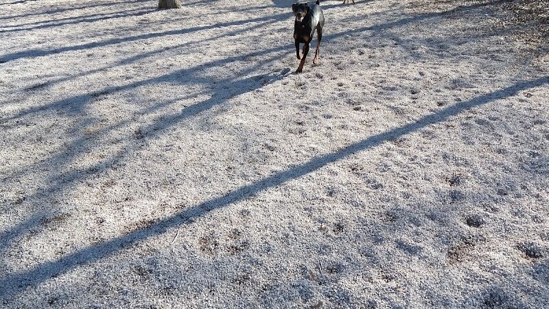 Avon Lake Dog Park - Avon Lake, OH