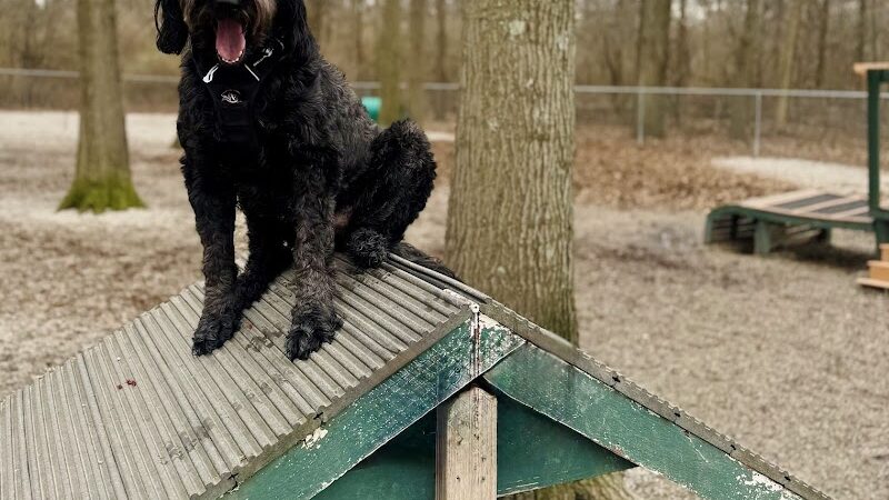 Avon Lake Dog Park - Avon Lake, OH