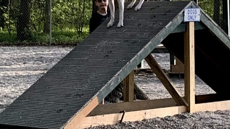 Avon Lake Dog Park - Avon Lake, OH