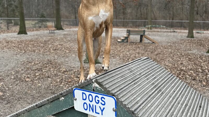 Avon Lake Dog Park - Avon Lake, OH