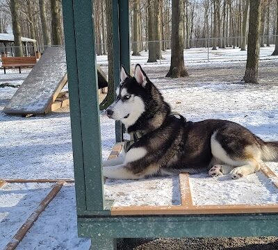 Avon Lake Dog Park - Avon Lake, OH