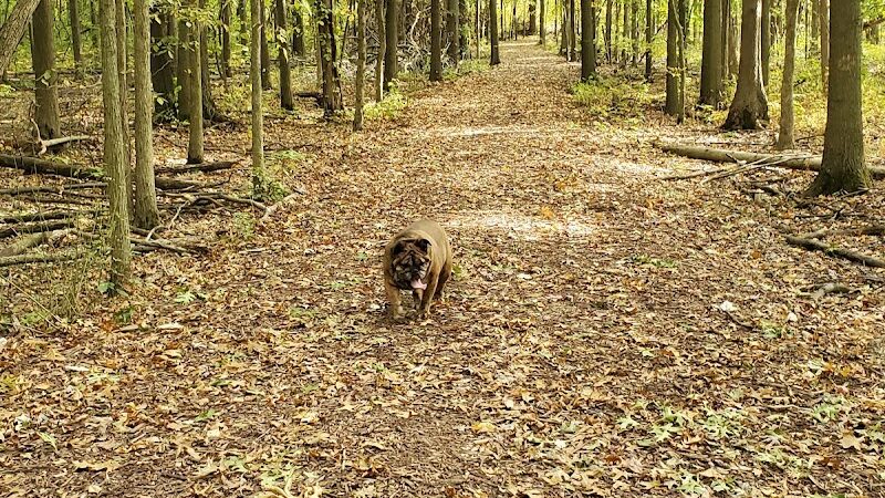 Avon Lake Dog Park - Avon Lake, OH