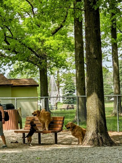 Avon Lake Dog Park - Avon Lake, OH