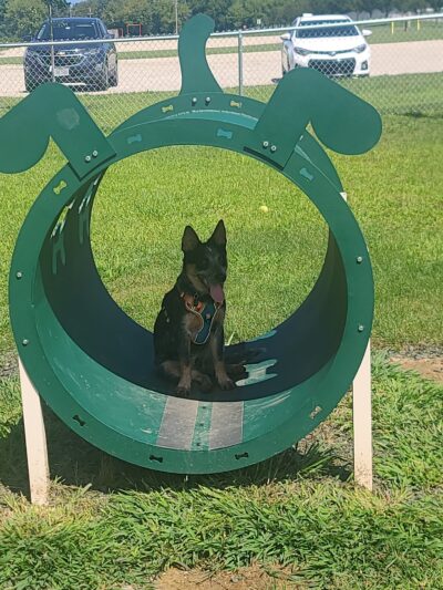 Canning Family K-9 Park - Avon, OH