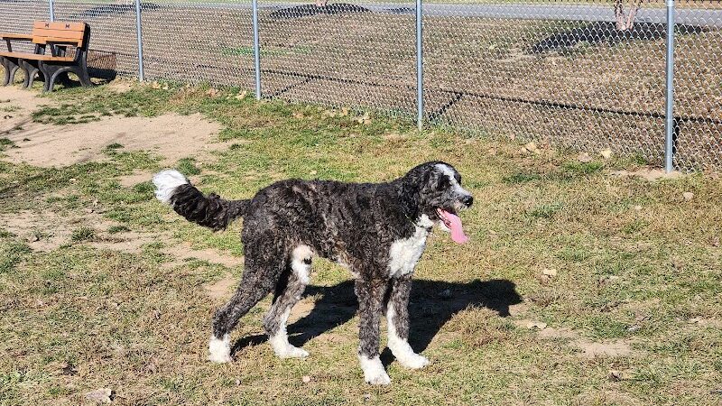 Canning Family K-9 Park - Avon, OH